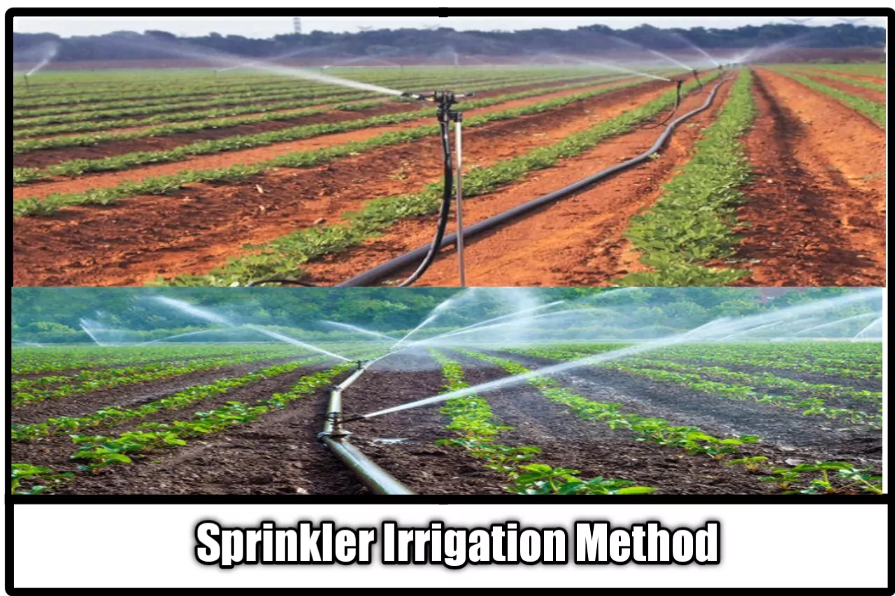 types of irrigation , methods for irrigation