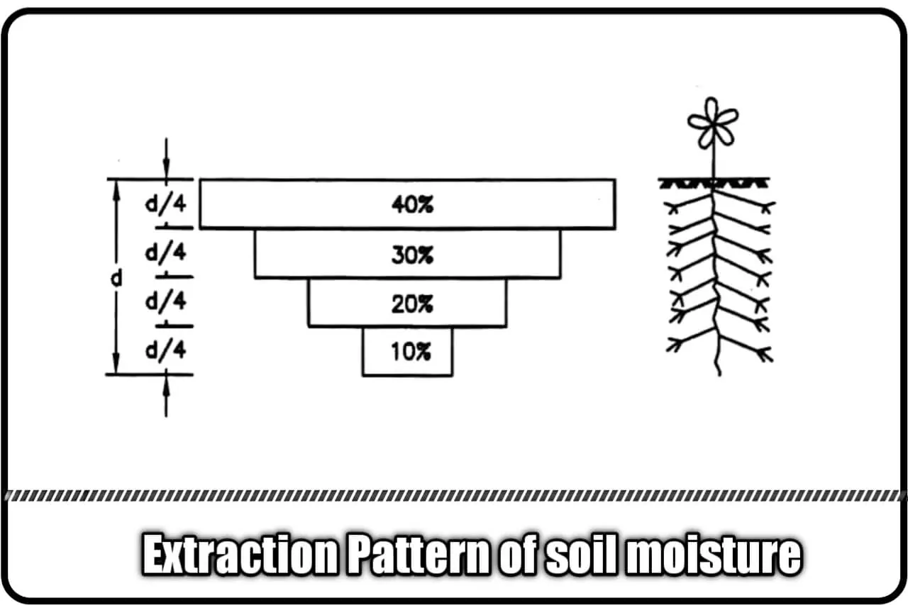 extraction pattern of soil moisturex ,soil water plant relationship