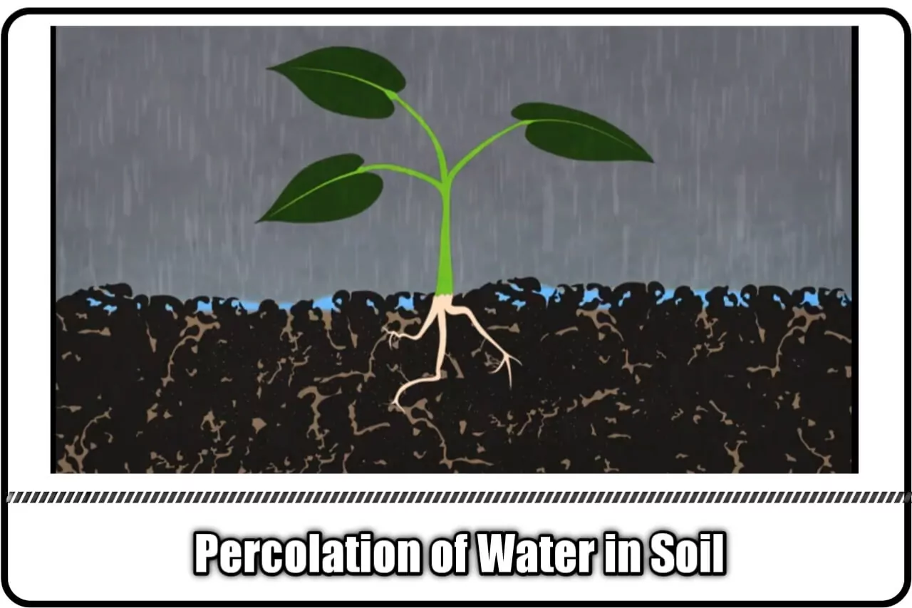 percolation of water in soil ,soil water plant relationship
