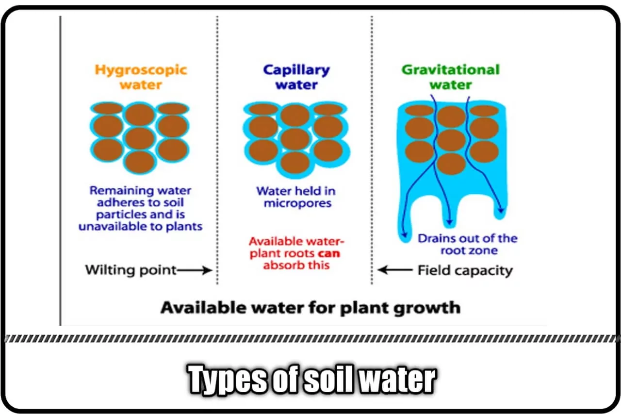 types of soil water 2,soil water plant relationship